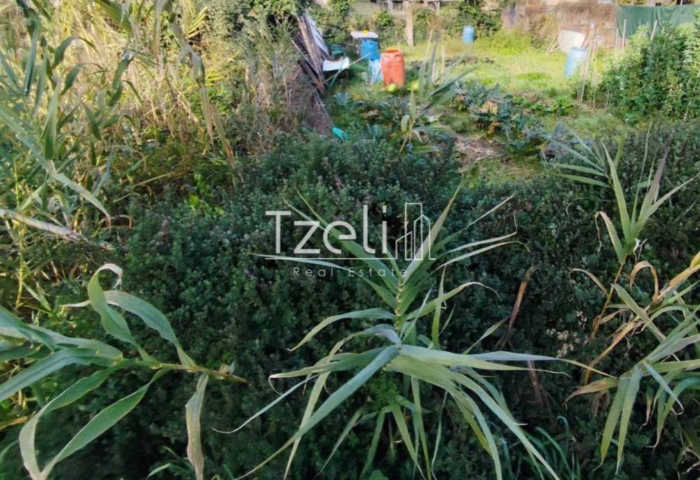 Άποψη οικοπέδου