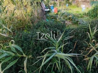 Άποψη οικοπέδου