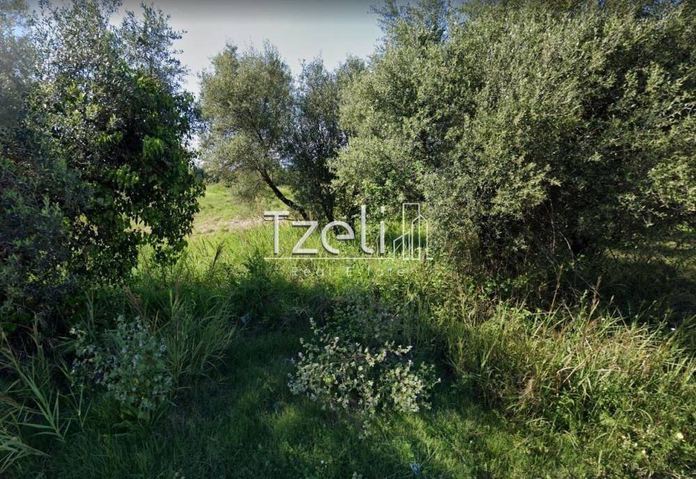 Άποψη οικοπέδου