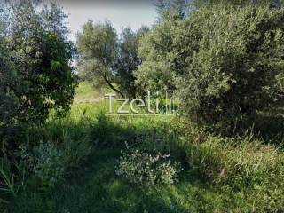 Άποψη οικοπέδου