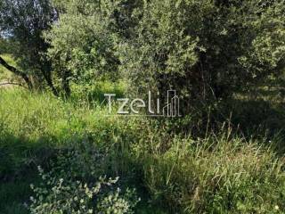 Άποψη οικοπέδου