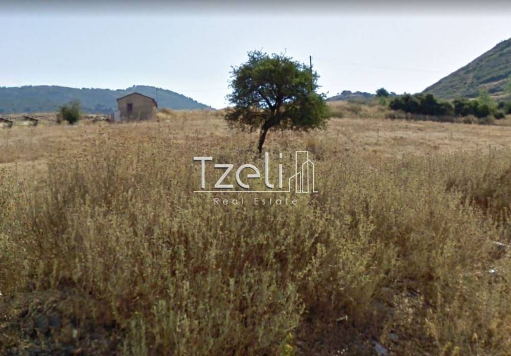 Άποψη οικοπέδου