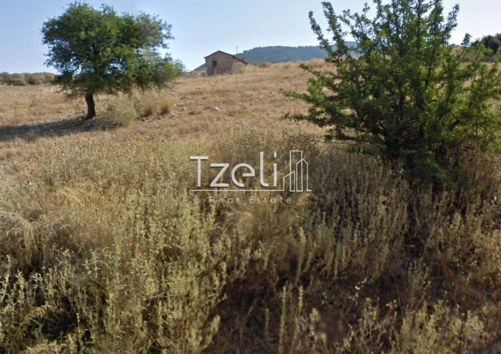 Άποψη οικοπέδου