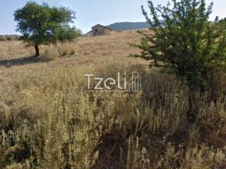 Άποψη οικοπέδου