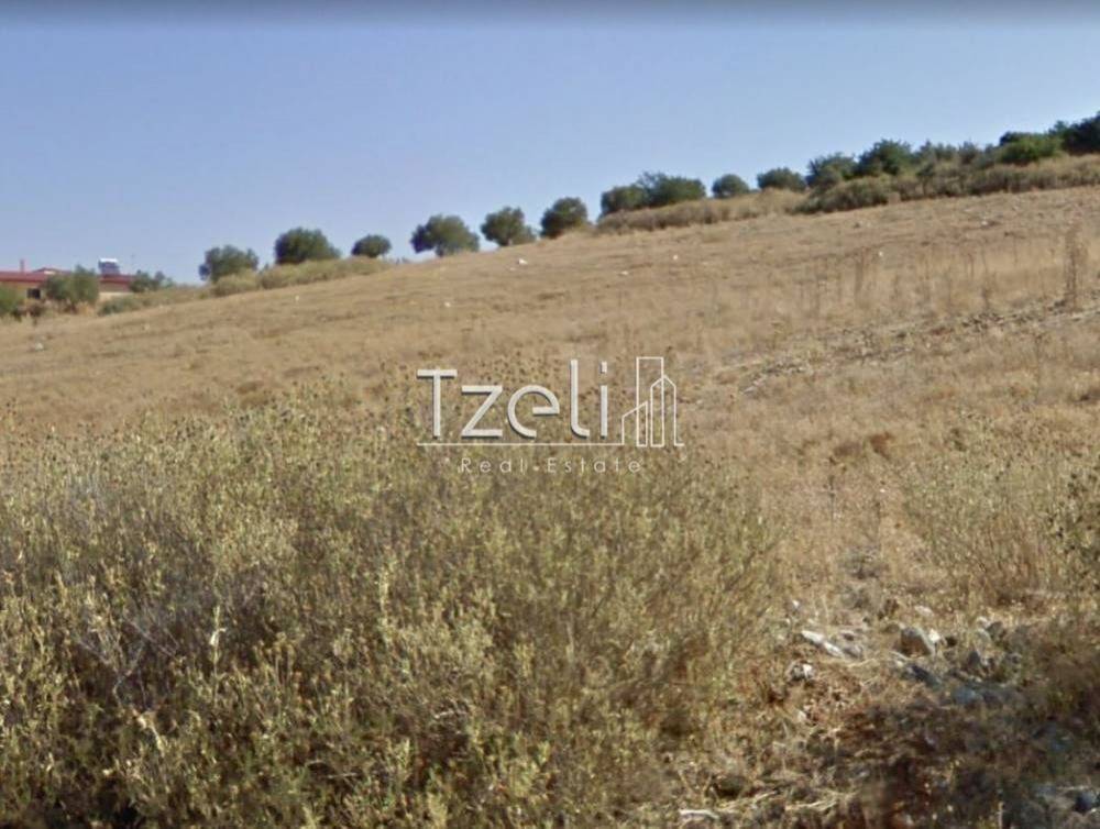 Άποψη οικοπέδου