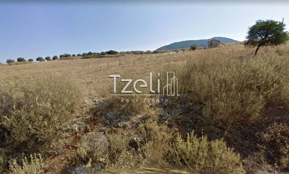 Άποψη οικοπέδου