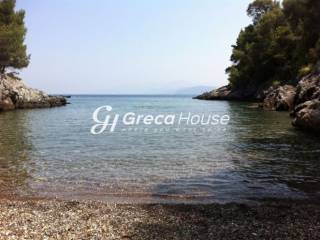 Parathalassia Bila pros Polese sten Eyboia me THea THalassa