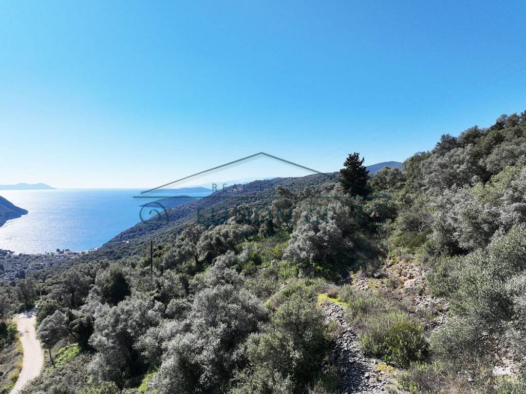 Η εξαιρετική θέα από το αγροτεμάχιο