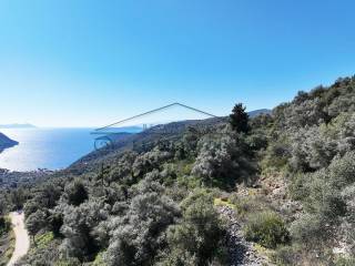 Η εξαιρετική θέα από το αγροτεμάχιο