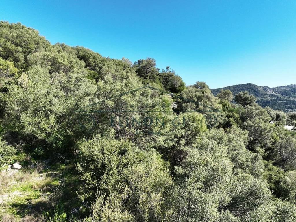 E thea sten gyro perioche