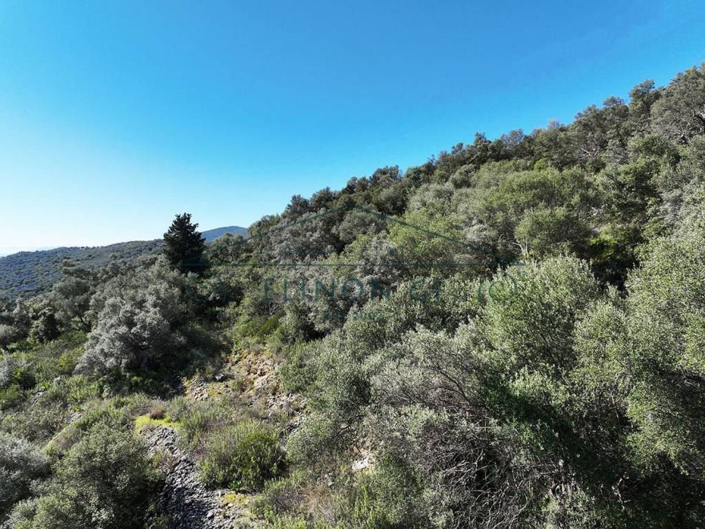 E thea sten gyro perioche