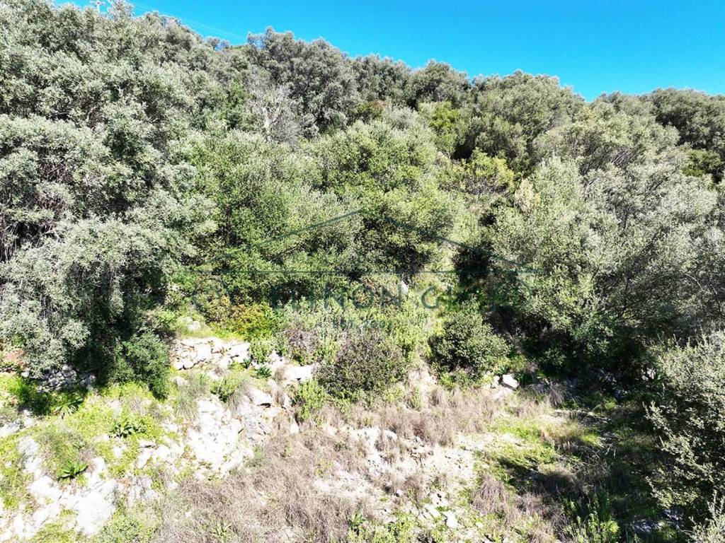 To agrotemachio apo to epipedo toy edaphoys