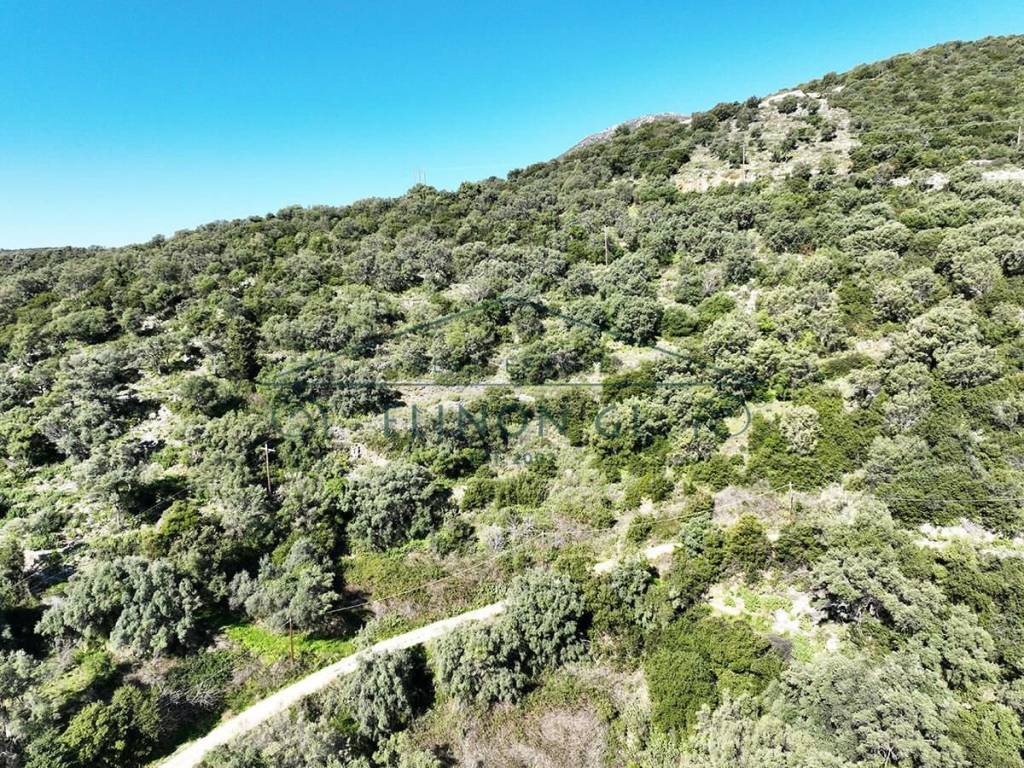 E thea sten gyro perioche