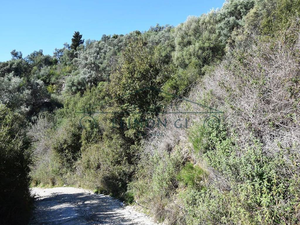 E prosbase apo ten tsimentostromene agrotike odo