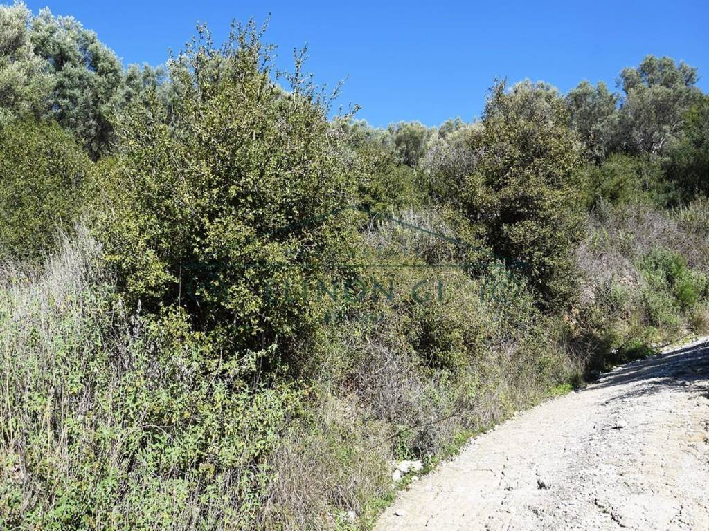 E prosbase apo ten tsimentostromene agrotike odo