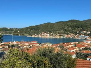 Views from the house