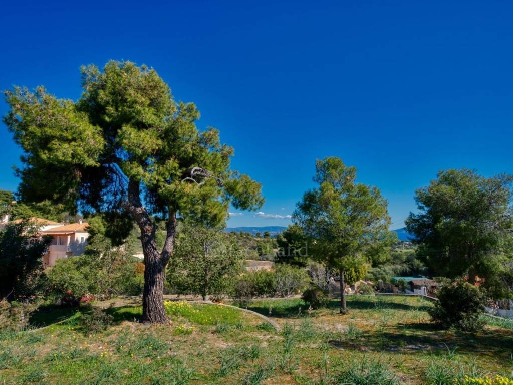 Θέα από μπαλκόνι