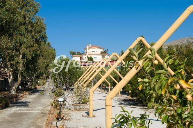 Villa for sale in Attika Keratea