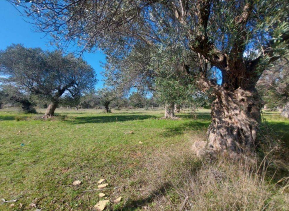 Εξωτερικοι χώροι