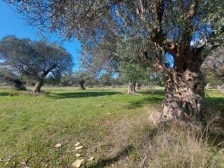 Εξωτερικοι χώροι