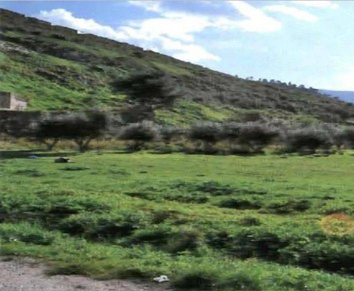 Εξωτερικοι χώροι