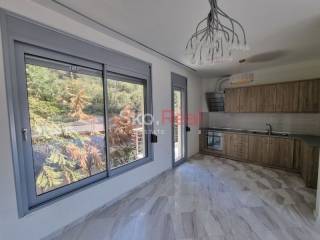 Σαλοκουζίνα