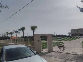 Dipla se monokatoikies