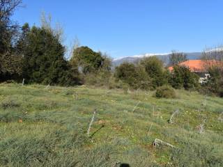 ΑΠΟΨΗ ΟΙΚΟΠΕΔΟΥ