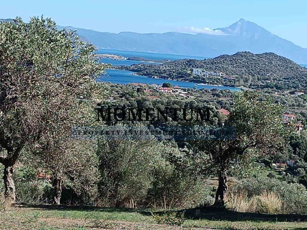 Εξωτερικοι χώροι