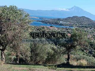 Εξωτερικοι χώροι