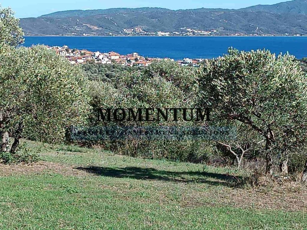 Εξωτερικοι χώροι