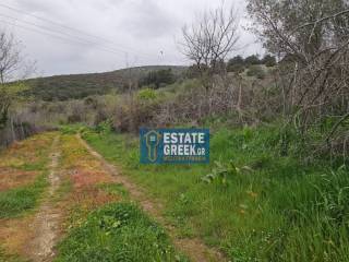 ★ Κτίζει 280 τ.μ. ★ Μοναδική προσφορά ★ Δίπλα σε χωματόδρομο ★