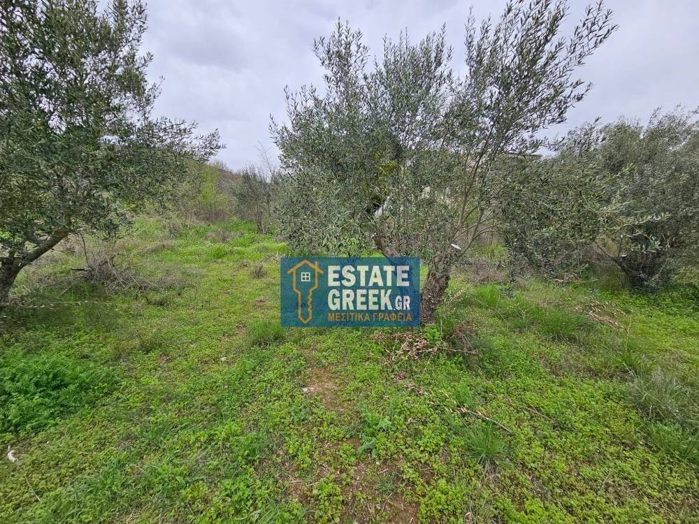 ★ Κτίζει 280 τ.μ. ★ Μοναδική προσφορά ★ Δίπλα σε χωματόδρομο ★