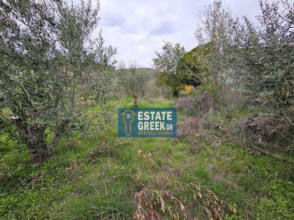 ★ Κτίζει 280 τ.μ. ★ Μοναδική προσφορά ★ Δίπλα σε χωματόδρομο ★