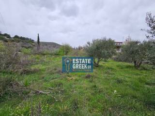 ★ Κτίζει 280 τ.μ. ★ Μοναδική προσφορά ★ Δίπλα σε χωματόδρομο ★