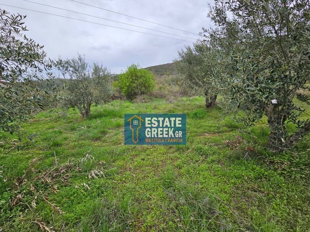 ★ Κτίζει 280 τ.μ. ★ Μοναδική προσφορά ★ Δίπλα σε χωματόδρομο ★