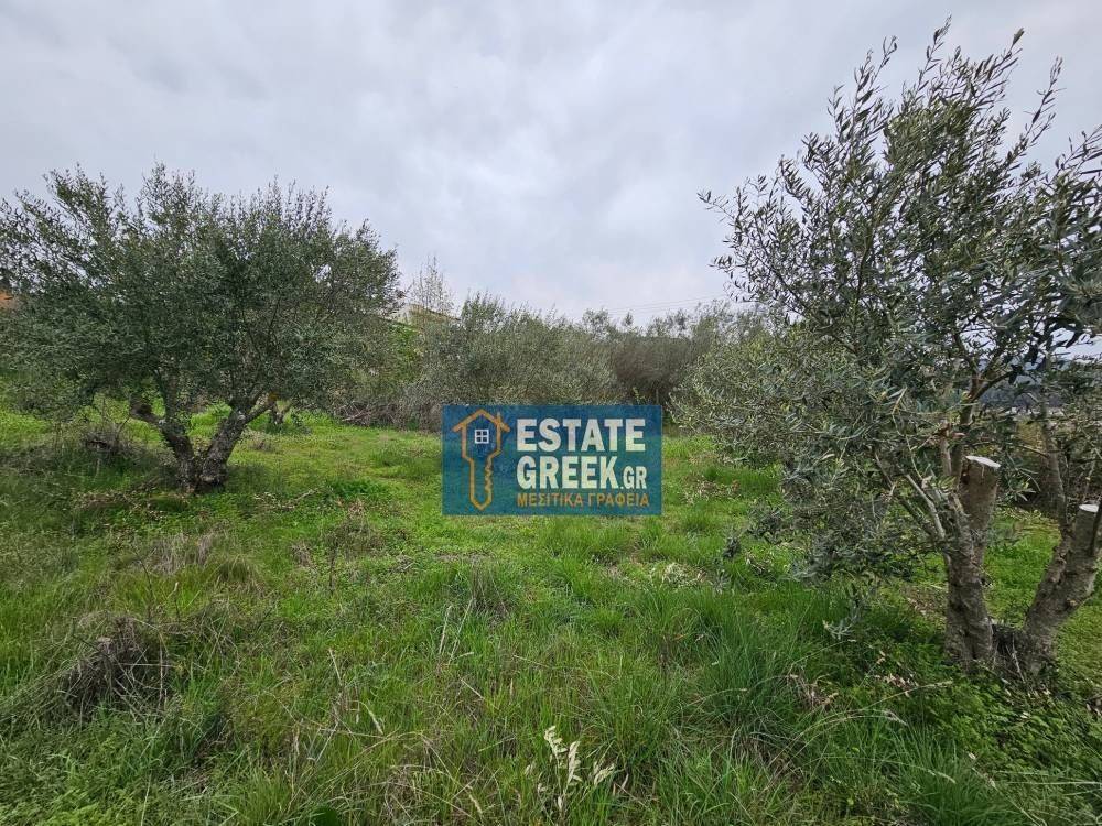 ★ Κτίζει 280 τ.μ. ★ Μοναδική προσφορά ★ Δίπλα σε χωματόδρομο ★