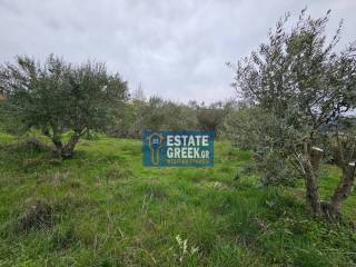 ★ Κτίζει 280 τ.μ. ★ Μοναδική προσφορά ★ Δίπλα σε χωματόδρομο ★