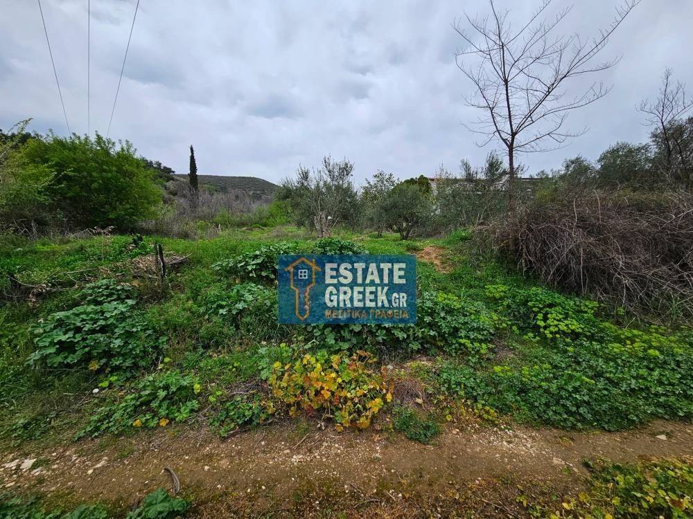 ★ Κτίζει 280 τ.μ. ★ Μοναδική προσφορά ★ Δίπλα σε χωματόδρομο ★