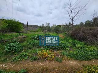 ★ Κτίζει 280 τ.μ. ★ Μοναδική προσφορά ★ Δίπλα σε χωματόδρομο ★