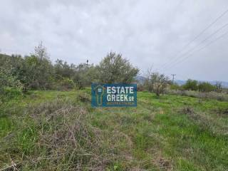 ★ Κτίζει 280 τ.μ. ★ Μοναδική προσφορά ★ Δίπλα σε χωματόδρομο ★