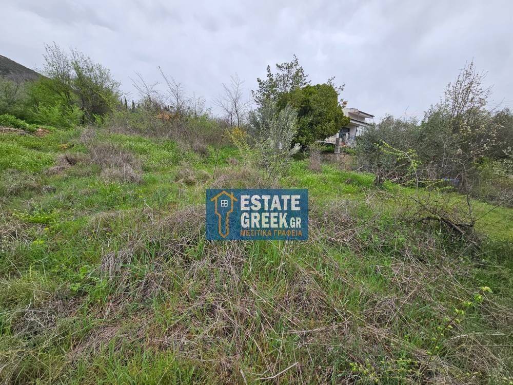 ★ Κτίζει 280 τ.μ. ★ Μοναδική προσφορά ★ Δίπλα σε χωματόδρομο ★