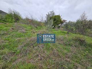 ★ Κτίζει 280 τ.μ. ★ Μοναδική προσφορά ★ Δίπλα σε χωματόδρομο ★