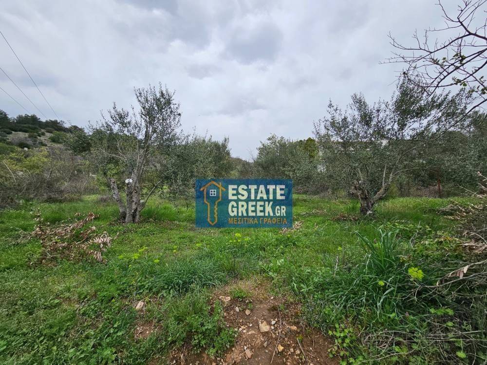 ★ Κτίζει 280 τ.μ. ★ Μοναδική προσφορά ★ Δίπλα σε χωματόδρομο ★