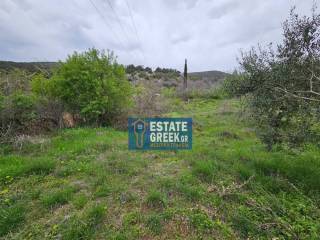 ★ Κτίζει 280 τ.μ. ★ Μοναδική προσφορά ★ Δίπλα σε χωματόδρομο ★