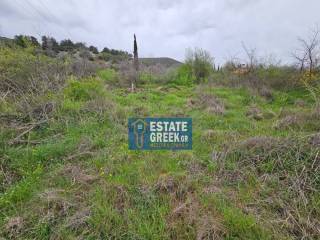 ★ Κτίζει 280 τ.μ. ★ Μοναδική προσφορά ★ Δίπλα σε χωματόδρομο ★