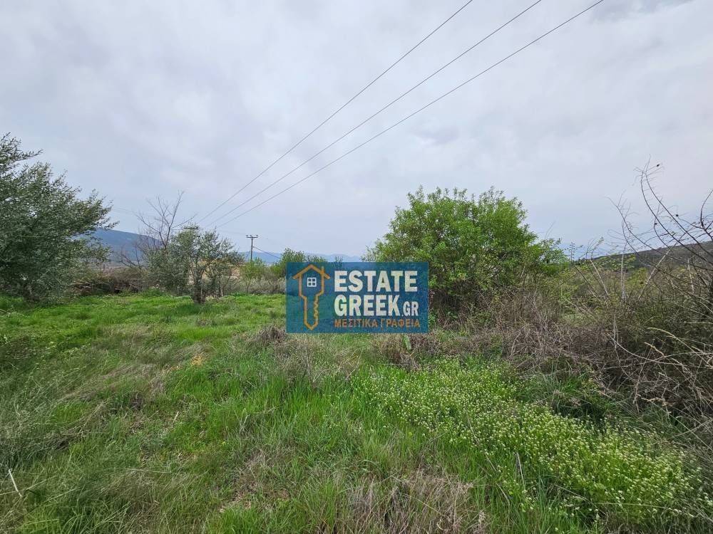 ★ Κτίζει 280 τ.μ. ★ Μοναδική προσφορά ★ Δίπλα σε χωματόδρομο ★