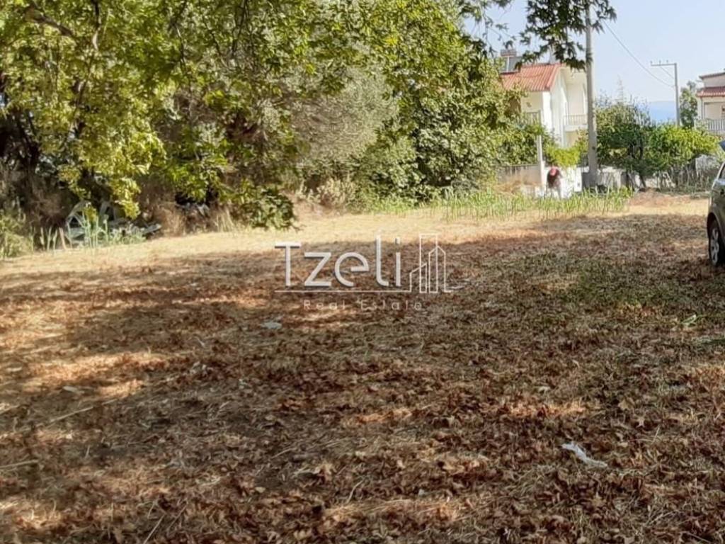 Άποψη οικοπέδου