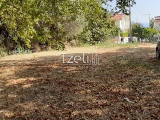 Άποψη οικοπέδου