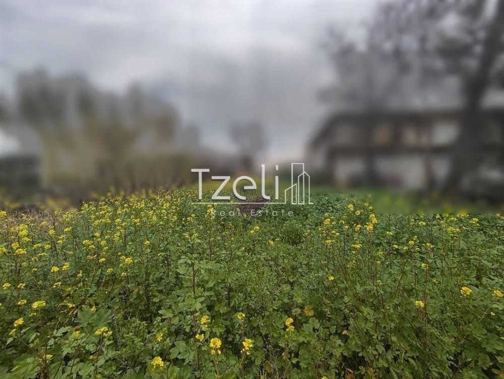 Άποψη οικοπέδου